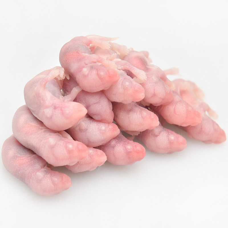 红皮乳鼠冻鼠天然猫粮q八哥鸟蜥蜴食守宫角蛙饲料小白鼠幼体喂蛇
