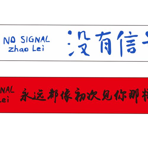 赵雷周边发光手环民谣没有信号演唱会应援无法长大手环音乐节定制