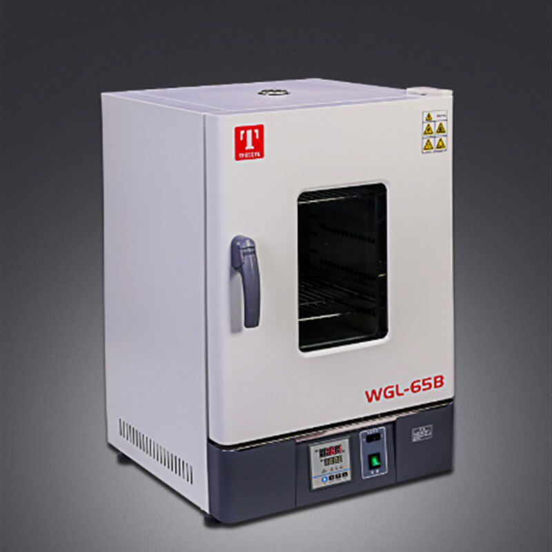 GX230BE 热空气消毒箱 天津泰斯特红外干燥箱 GX230L干烤灭菌箱
