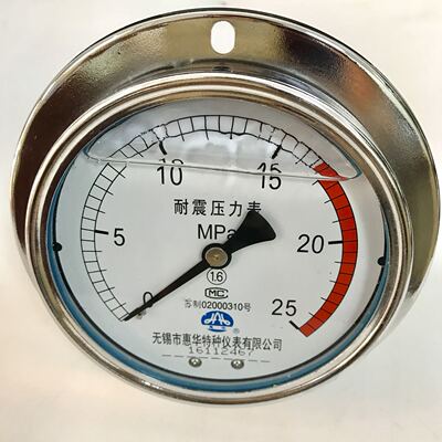 无锡市惠华特种仪表有限公司 25mpa耐震压力表 直径100mm m20x1.5