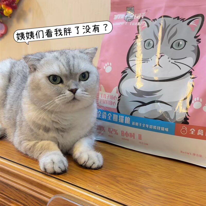 暴躁团子全期猫粮成幼猫通用增肥发腮营养高蛋白猫咪主食猫饭