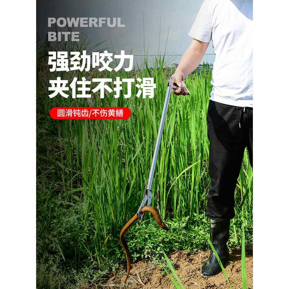不锈钢黄鳝夹子抓泥鳅鳝鱼夹专用夹螃蟹龙虾钳子防蛇赶海工具神器