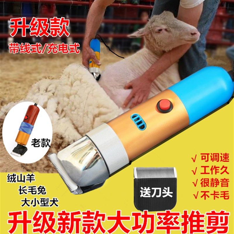 专业带线宠物电动推剪250W大功率剃羊毛推子金毛犬兔剪毛器大型狗