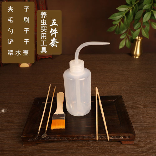 蛐蛐蟋蟀黑虫油葫芦鸣虫饲养罐用品工具捉网夹子毛刷斗草提笼套装