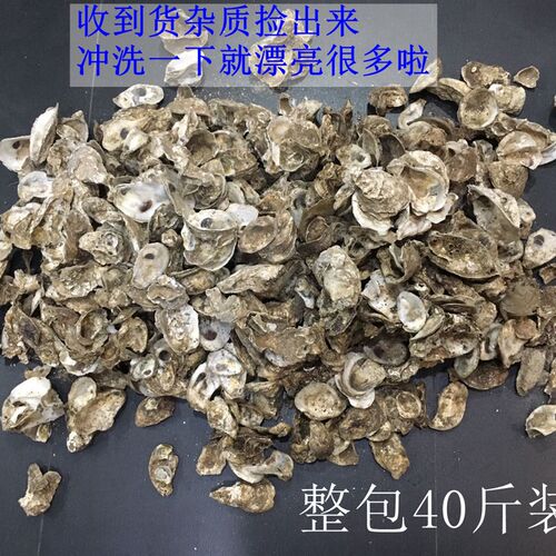 蚝壳/牡蛎壳锦鲤鱼池鱼缸专用滤材天然过滤材料稳定PH值增加钙质