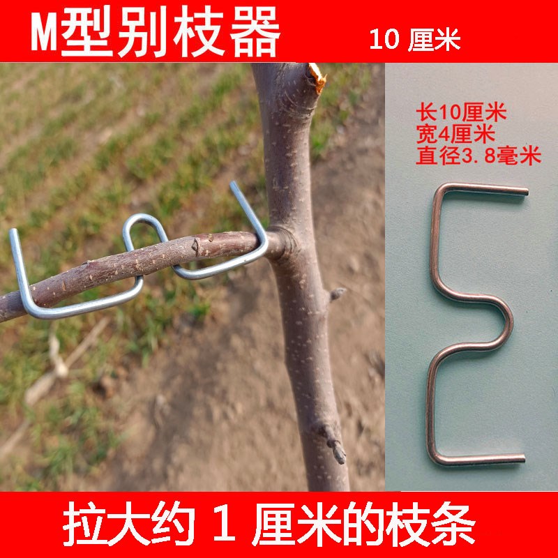 果树别枝器压枝定型开角拉枝园农用园艺工具包邮果树拉平柑橘石榴