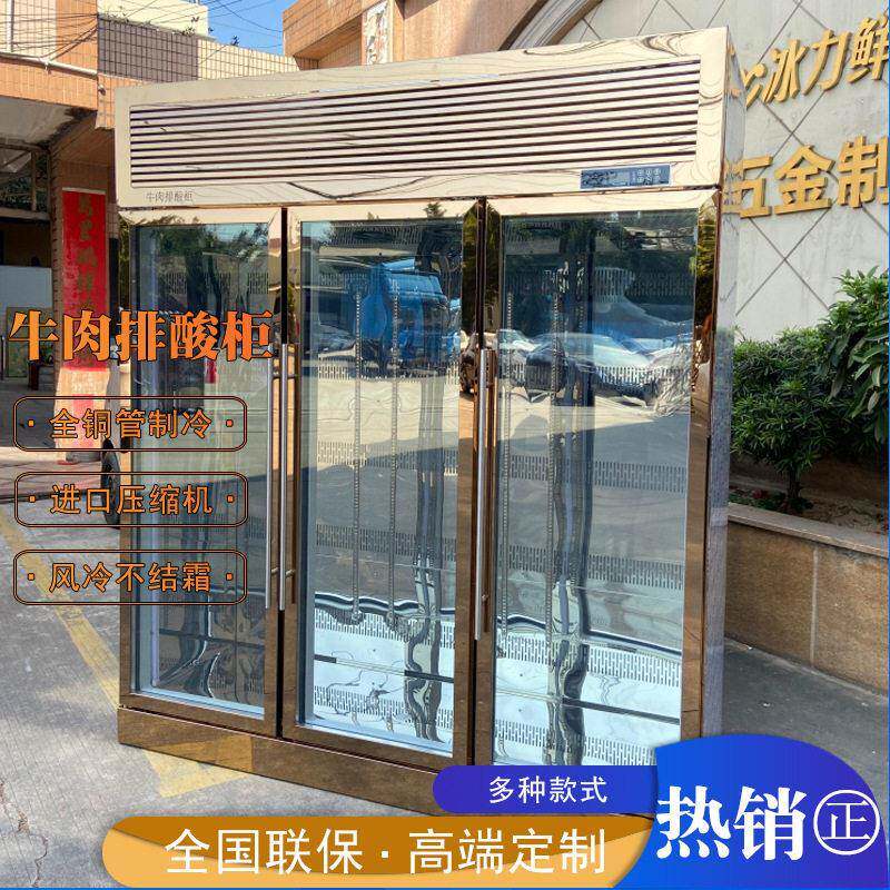 西餐厅风冷冰鲜牛肉柜干式湿式熟成柜冷藏立式牛肉排酸柜不结霜