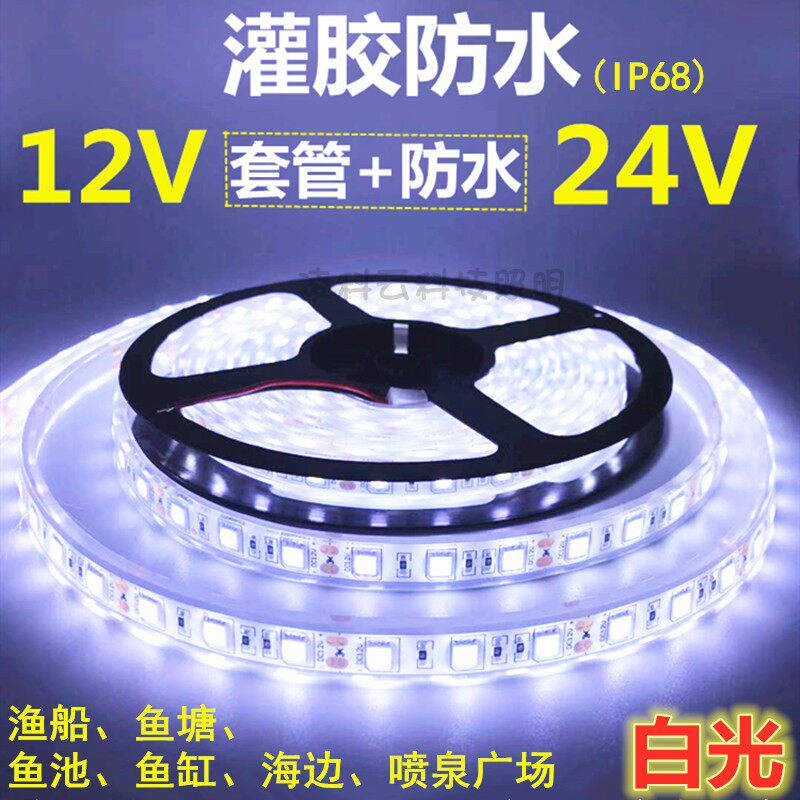灯池用灯带24V5050灌喷防水白光水带12V渔船胶泉防水白光LED灯条