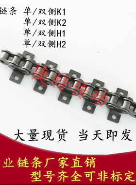 单孔双孔单双侧弯板带耳链条4分0105分1BA6分82A1寸16A 20A24A32A