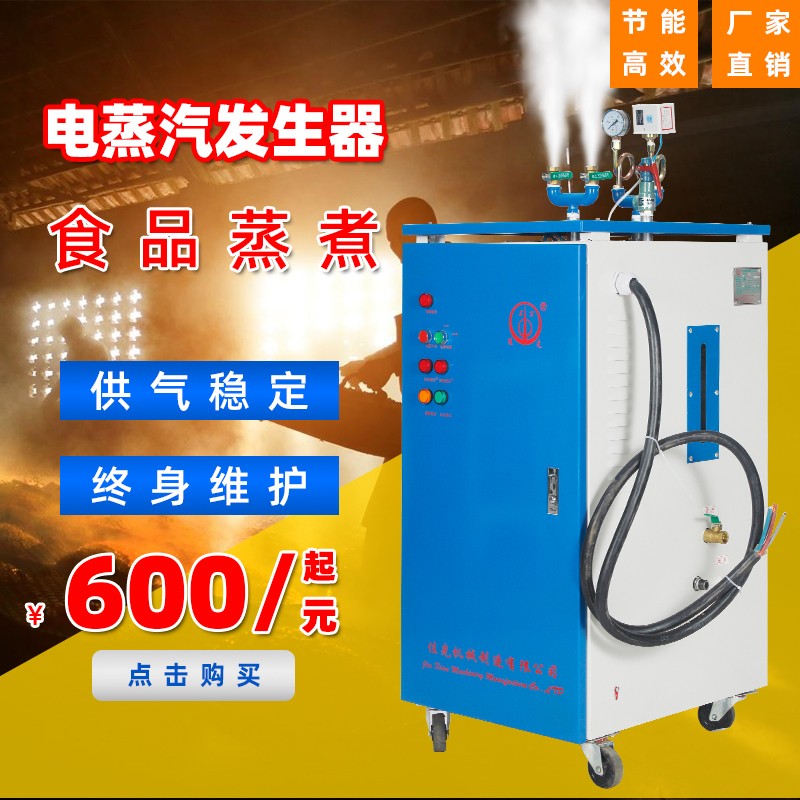 佳先蒸汽发生器电加热全自动锅炉桥梁养护商用工业蒸煮服装熨烫