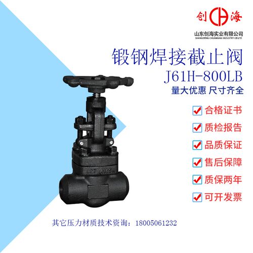 A105锻钢停止阀焊接/丝扣F11不锈钢铬钼钢J61H/Y-800LB-100C闸阀