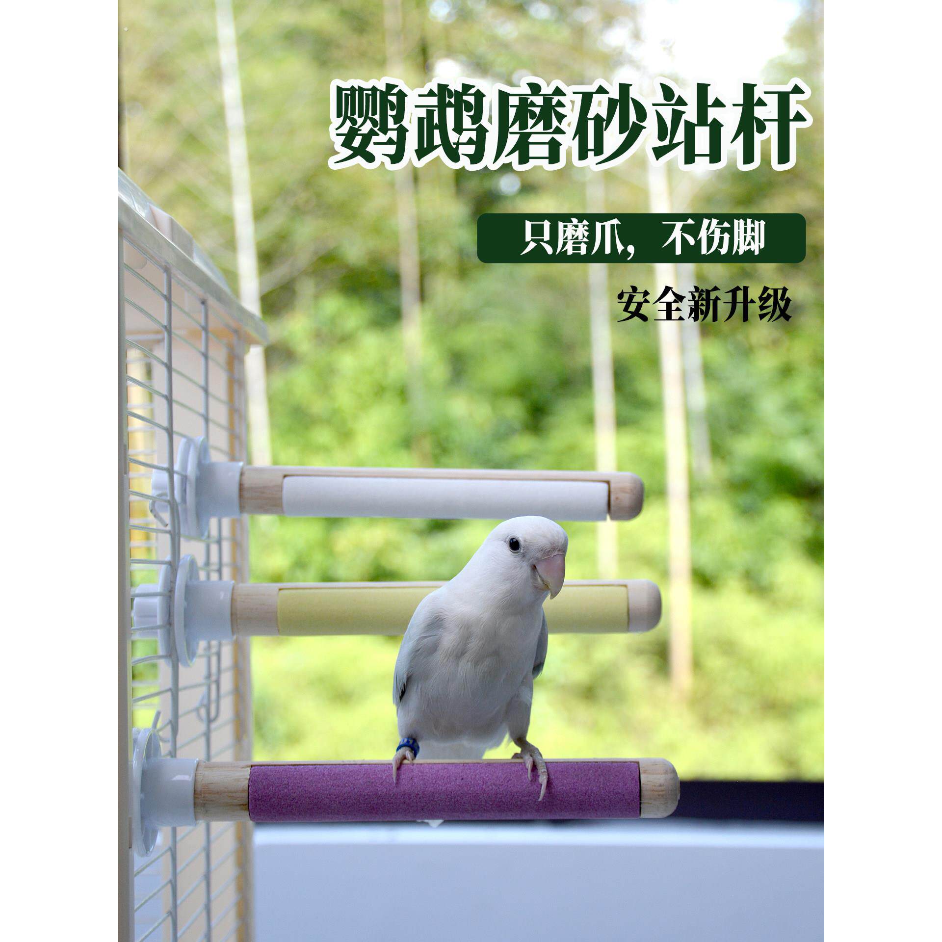 鹦鹉双面磨爪棒玄凤虎皮牡丹专用磨砂站杆站棍磨牙鹦鹉用品鸟站杆