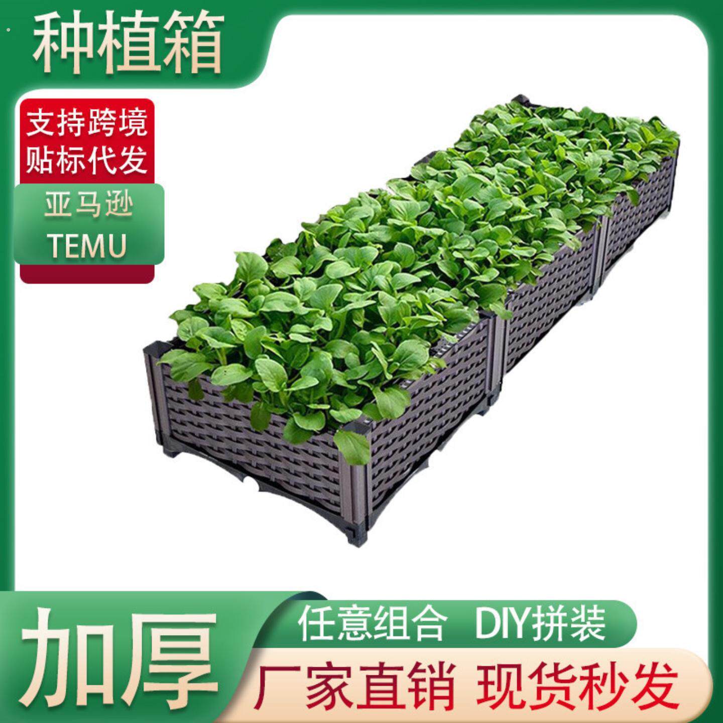 种菜专用箱室外室内家庭阳台楼顶种植箱蔬菜种植箱菜园种菜盆特大