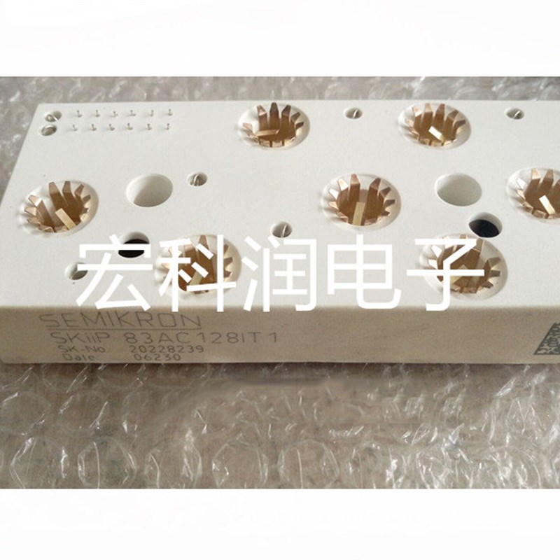 SKIIP83AC12T4IT1 SKIIP82AC128IT1 SKIIP83AC12IT1 83AC128IST1 - 实物图