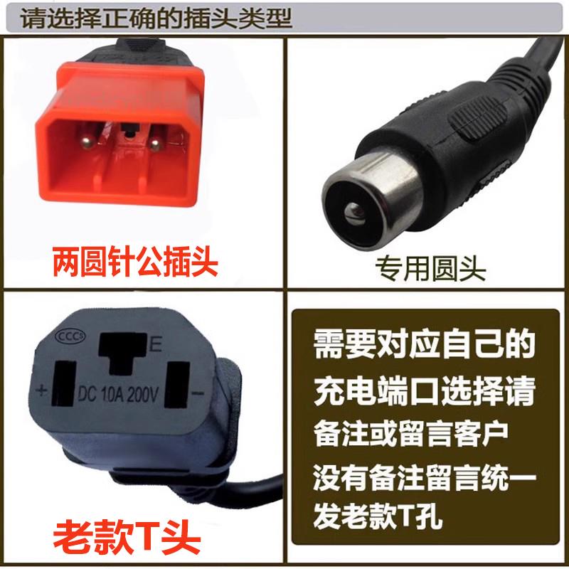 心艺凤凰可人众星电动车充电器48V60V64V72V84V96V20Ah适用充电器