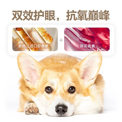 美尼旺NEO宠物狗狗营养补充剂虾青原花青素软骨素姜黄素晶状体浑