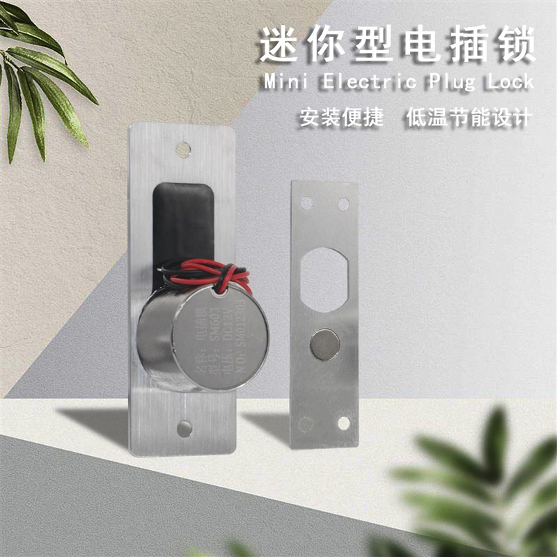 迷你门禁小型电插锁低温室外防水电磁锁玻璃门锁木门锁等