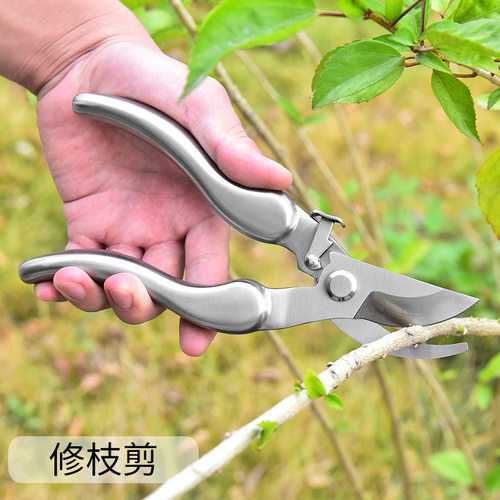 园艺剪刀304不锈钢修枝剪树枝剪刀果枝剪家用修花剪园林工具花剪