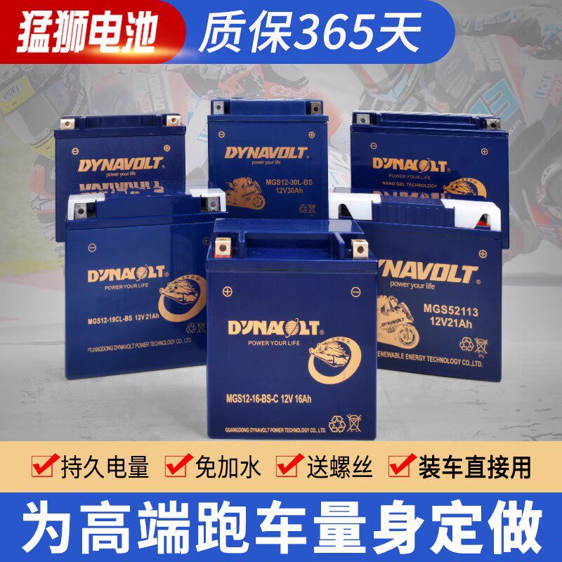 猛狮摩托车电瓶适用哈雷883宝马1200RT/12V12A/14A/20A大排量电池