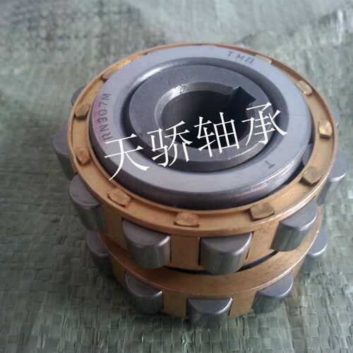 RN204m 减速机轴承 TJU 天骄