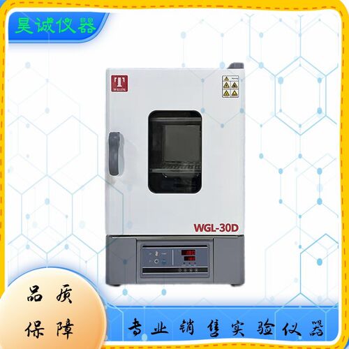 泰斯特WGL-30D-45D-65D-85D-125D-625D-230D电热鼓风干燥箱立式