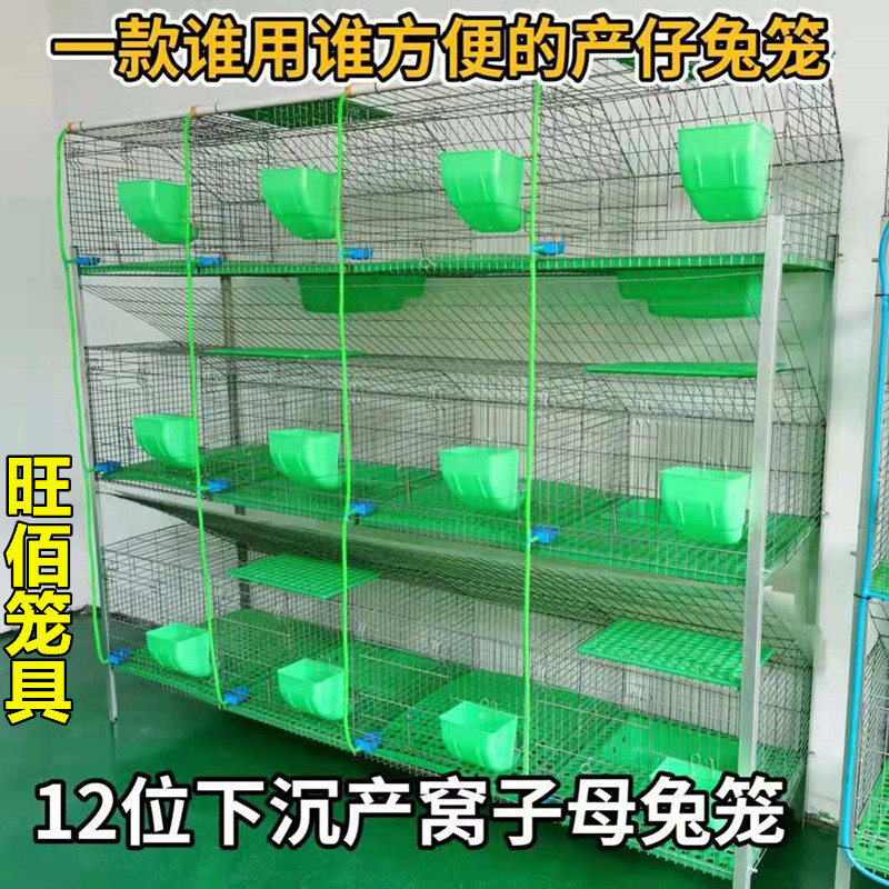 兔笼养殖笼 12位加粗加密热镀锌免清粪子母兔笼阶梯兔子笼子旺佰