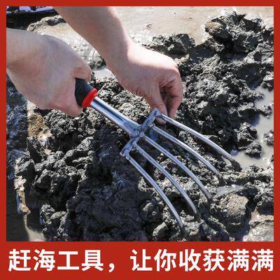 赶海工具套装不锈钢蛤蜊耙子沙滩挖蚬蛏子螺神器螃蟹夹子海蛎子钩