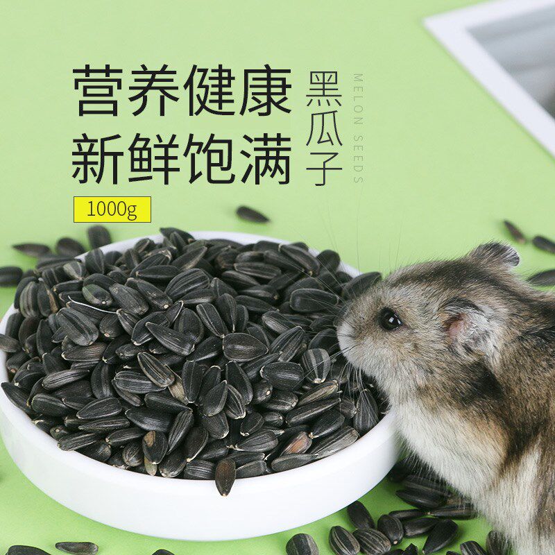 兴兴文黑珍珠小瓜子葵花子鹦鹉鸟食仓鼠零食鸟粮1000克