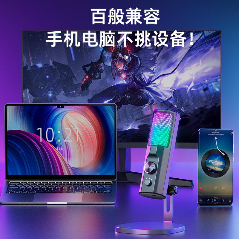 台式电脑麦克风主动降噪配音直播游戏语音K歌耳返专业USB话筒206