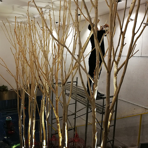 树枝装饰树杈干枝屏风枯树枝干造型去皮原木diy手工造景幼儿园树