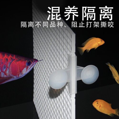 鱼缸盖板防跳网盖子隔离板分隔塑料网格板滤材垫板水族顶盖龟台板