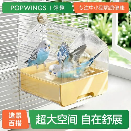 翎趣鹦鹉洗澡盆防撒漏食盒牡玄凤小太阳浴室多功能神器防溅食品盒