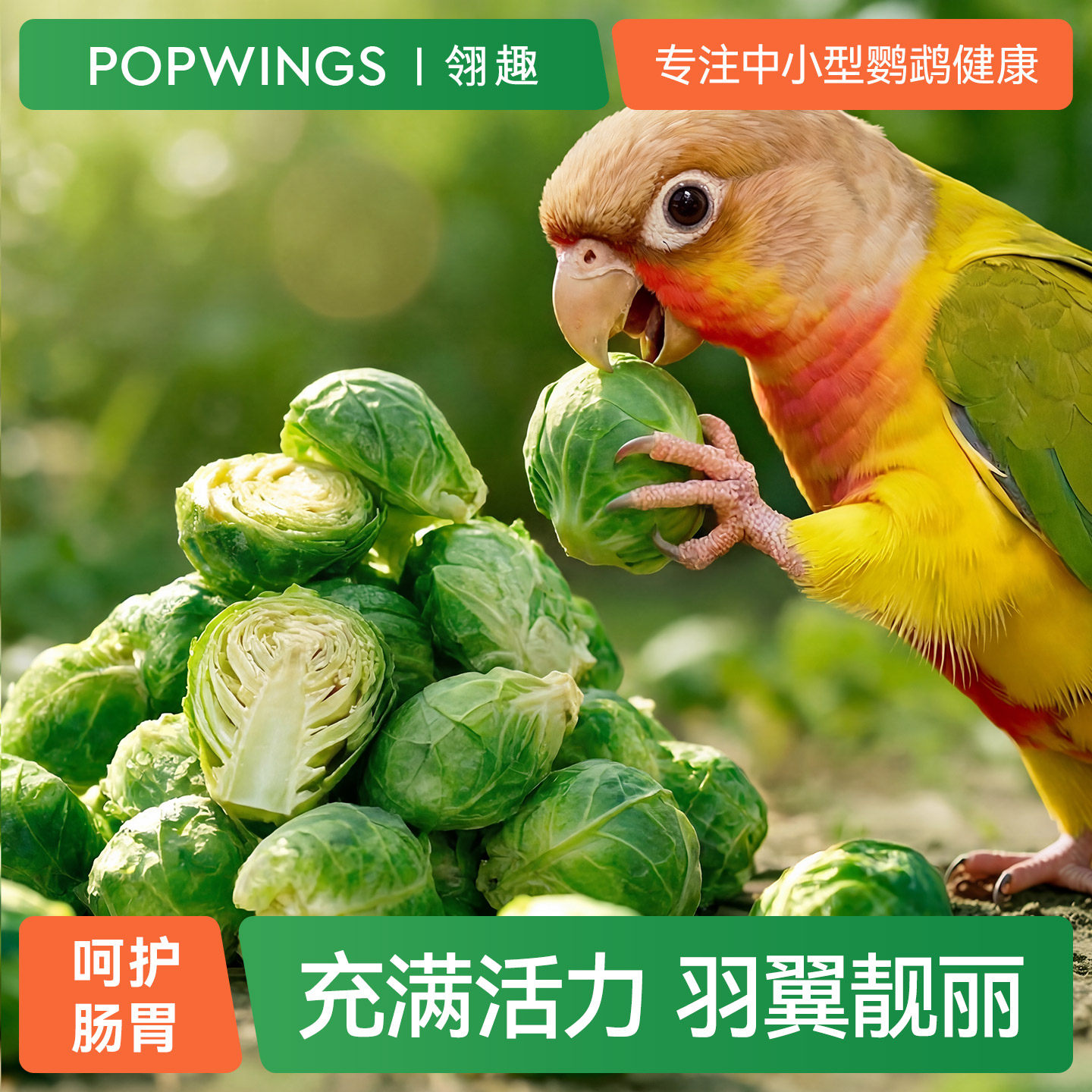 鹦鹉冻干孢子甘蓝水果蔬菜牡丹虎皮玄凤辅助鸟用料啃咬饲奖励零食