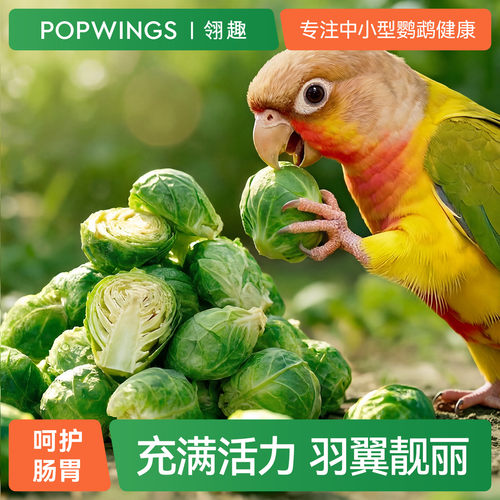 鹦鹉冻干蔬果奖励零食