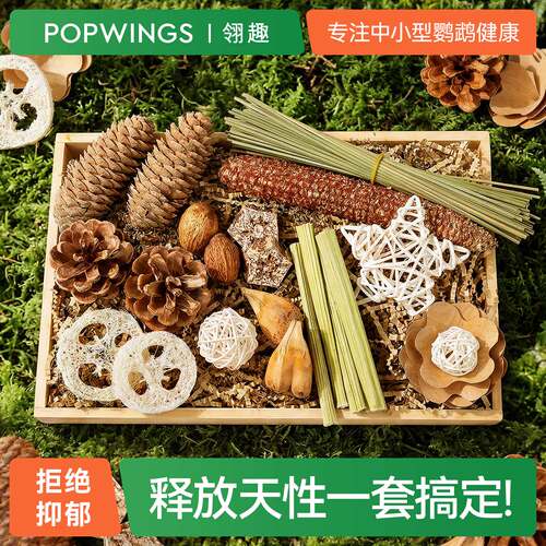 翎趣鹦鹉磨牙啃咬解闷玩具盒