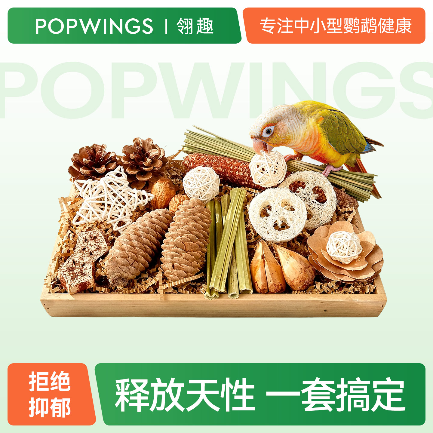 翎趣鹦鹉磨牙啃咬解闷玩具盒