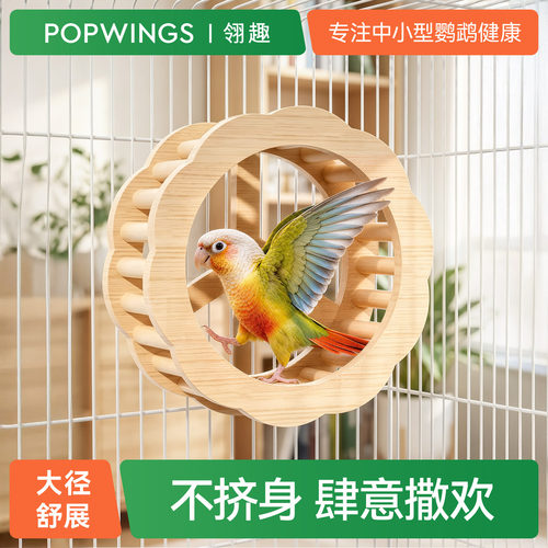 翎趣鹦鹉跑轮实木静音解闷自嗨