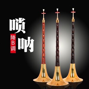 王家彪降B调唢呐乐器初学者全套乌木红檀小叶紫檀木红白喜事专用