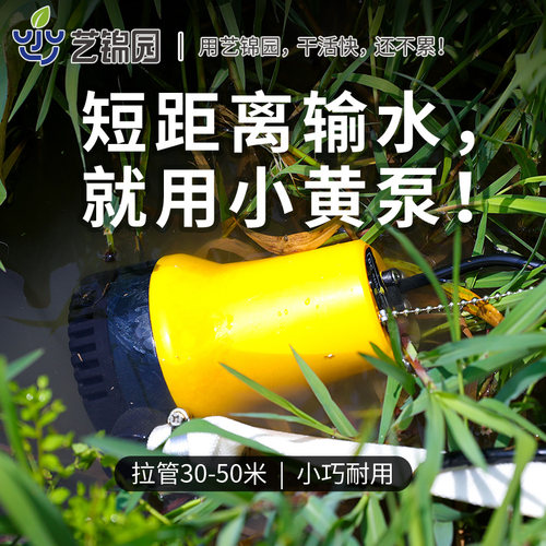 水泵家用抽水电动自吸式抽井水12v浇菜小型浇水机直流电抽水机