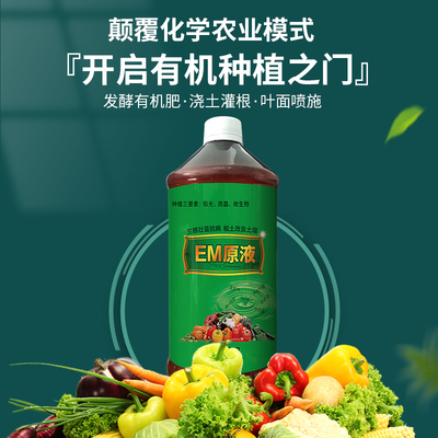 EM菌原液em菌液有机种植改良土壤防病花肥营养液发酵菌EM益生菌