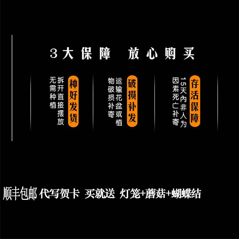 发财树盆栽大型绿植树桩招财室内好养绿植开业送礼前台大号金钱树