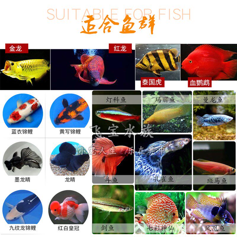 鱼缸盐鱼盐观赏鱼通用虎鱼地图锦鲤金鱼龙鱼血鹦鹉鱼专用麦宝海盐