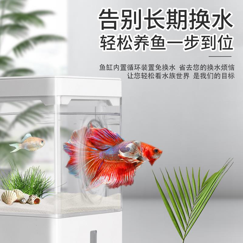 SQG免换水槽鱼鱼缸 桌面迷你生态鱼缸 塑料底部过滤懒人金鱼缸套