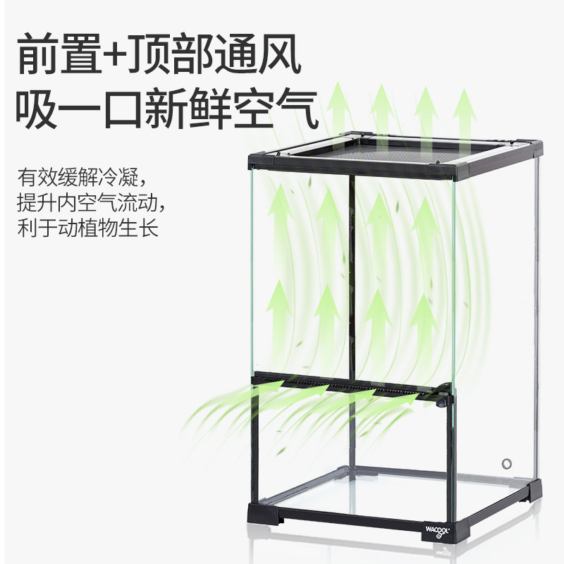 Reptizoo生态雨林缸水陆缸超白爬宠饲养箱玻璃热带植物造景玩酷缸