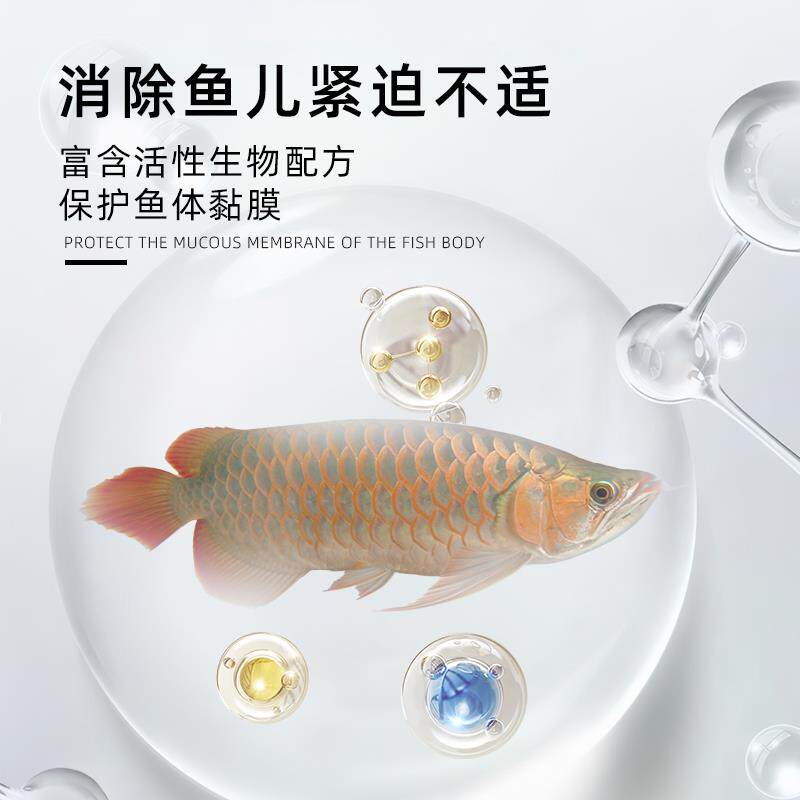 壹诺水质稳定剂鱼缸净水剂养鱼专用水族安定剂自来水除氨剂免困水