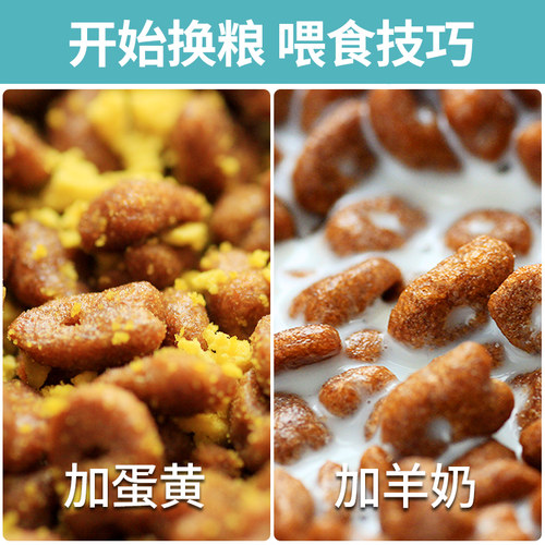 凯锐思银爪C28幼猫专用猫粮1到12月奶糕鱼肉营养免疫高蛋白无谷