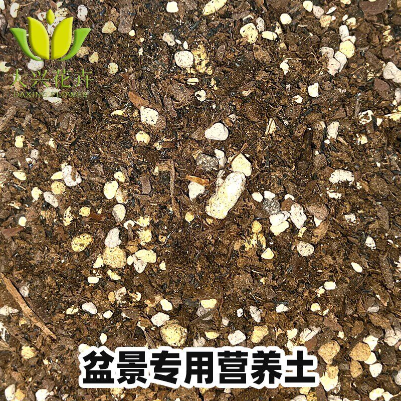 自配土10升喜酸 盆景块根 天南星热植 兰花月季花卉 球根香草蔬果