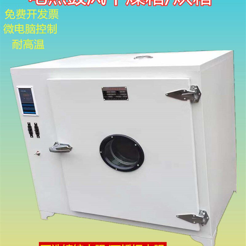 电热鼓风恒温干燥箱小型高温工业烘箱大灯烤箱实验室老化试验箱