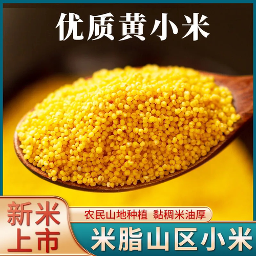 黄小米陕西正宗小米颗粒饱满新鲜可做粥早餐小米粥软糯香米黄小米