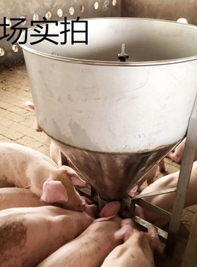 育肥猪干湿下料器采食槽猪槽养猪设备兽用圆形不锈钢猪食槽颗粒